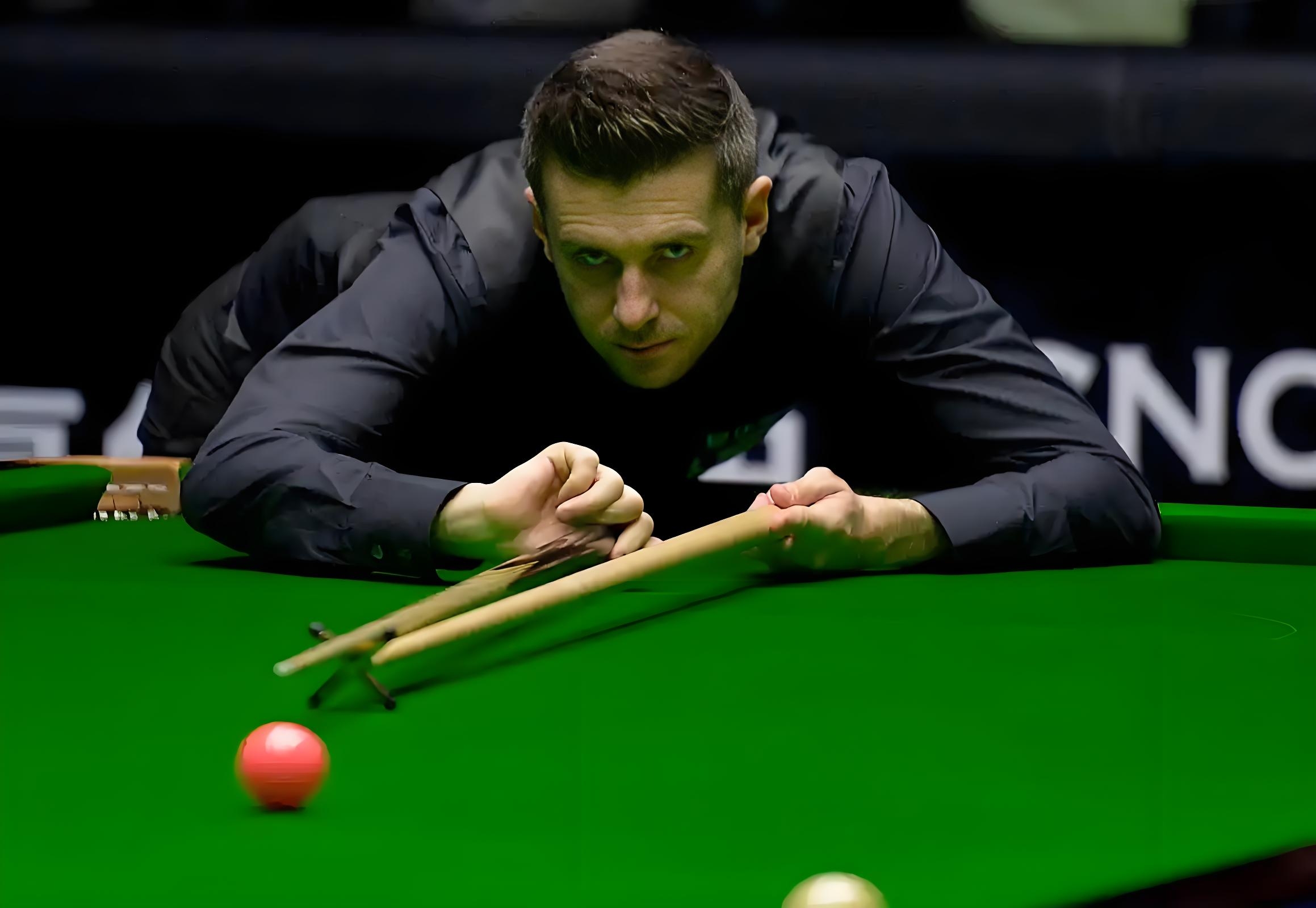 坚韧不拔的 坚韧不拔的