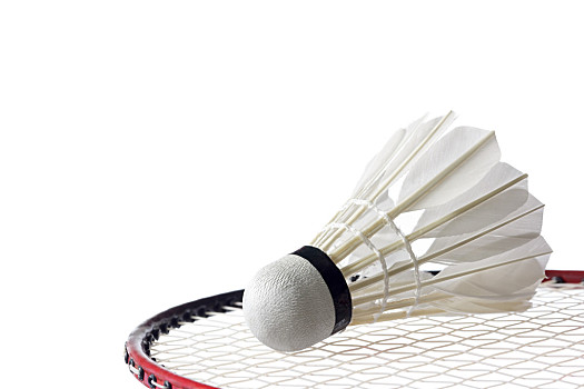 阿尔瓦雷斯 阿尔瓦雷斯